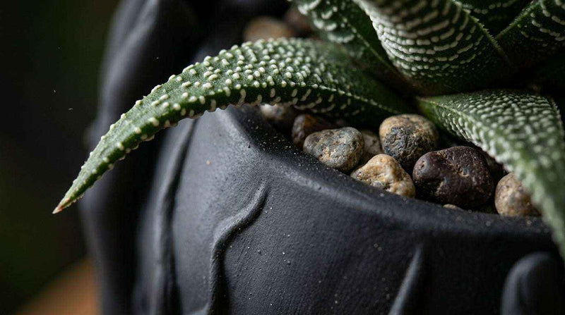 Sussurro del Vuoto — Vaso Scultoreo "Mani" in Resina Nera Opaca (30 cm) - Taraflo