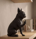 Boston Terrier — Statuetta Cane "Educato… ma non troppo"