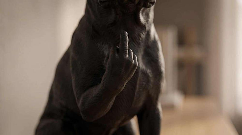 Boston Terrier — Statuetta Cane "Educato… ma non troppo"
