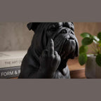 Bulldog — Statuetta Cane "Educato… ma non troppo"