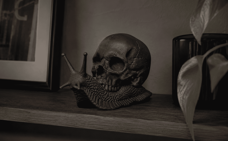 Memento Mori — Scultura Teschio su Lumaca in Resina Nera Opaca - Taraflo