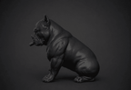 Pitbull Urban Dark — Statua da Collezione in Resina Nera Opaca - Taraflo