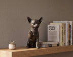 Chihuahua — Statuetta Cane «Educato… ma non troppo»
