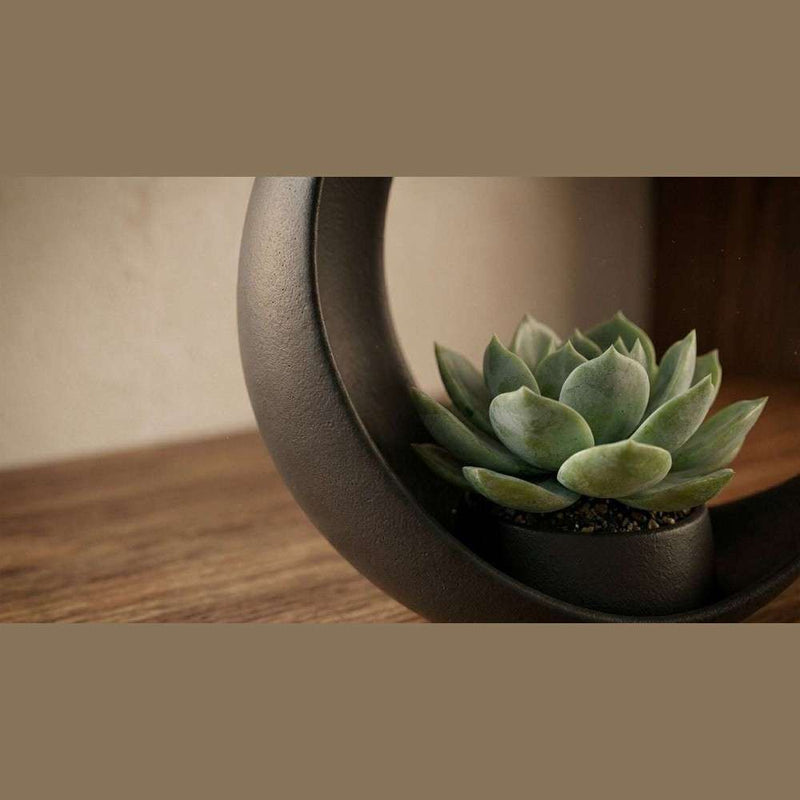 Eclissi Lunare — Vaso a Mezzaluna in Resina Nera Opaca (25 cm) - Taraflo