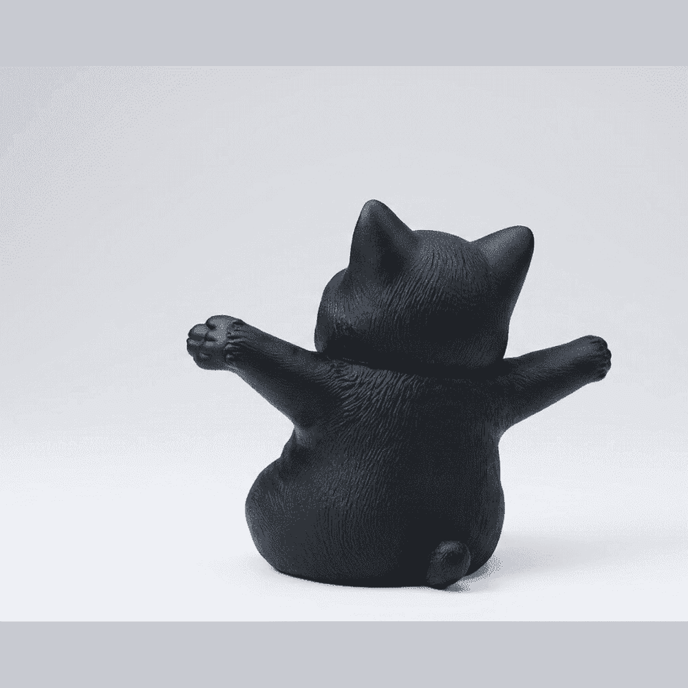 Gattino Felice a Braccia Aperte — Statuetta Decorativa in Resina Opaca - Taraflo