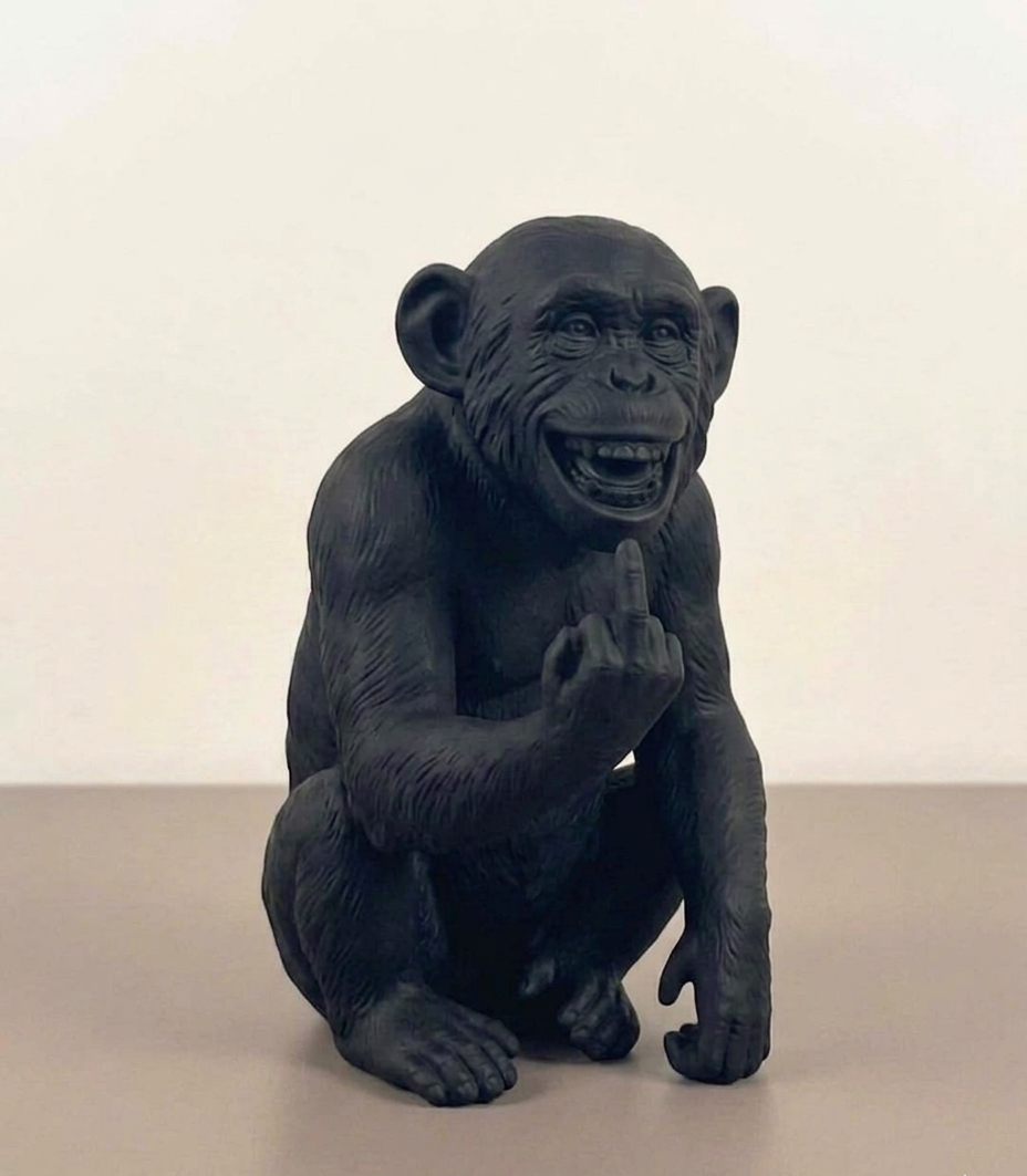 L'Opinione del Primate - Scimmi maleducata