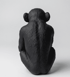 L'Opinione del Primate — Scimmia Maleducata - Taraflo