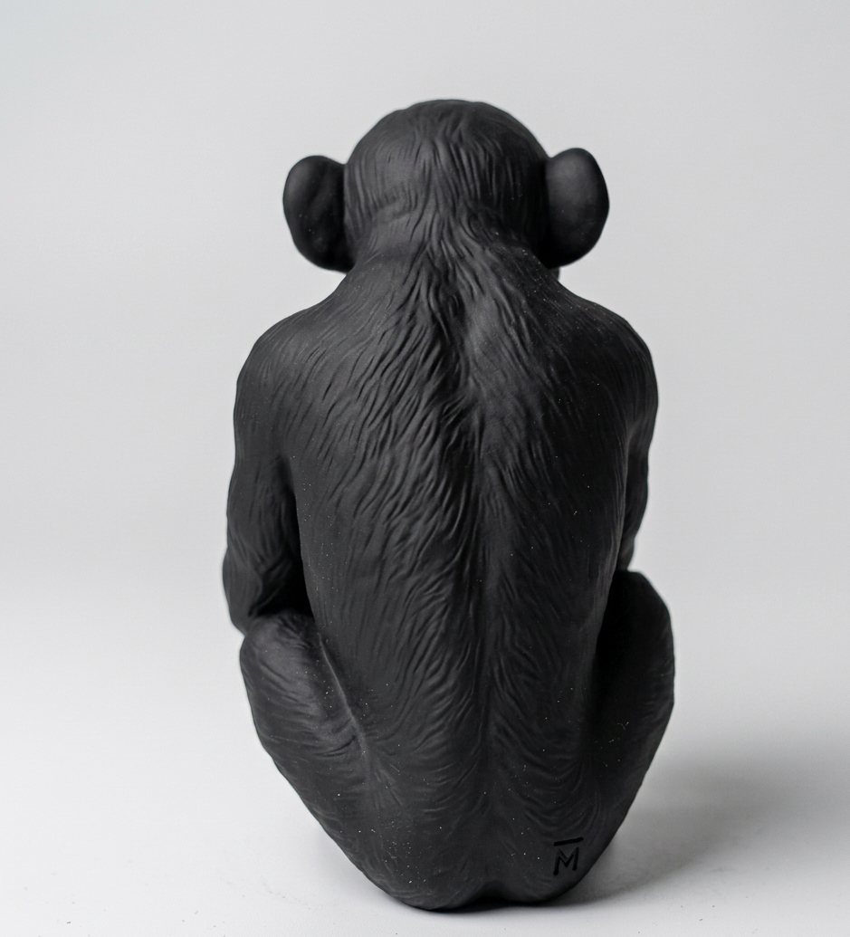 L'Opinione del Primate - Scimmi maleducata