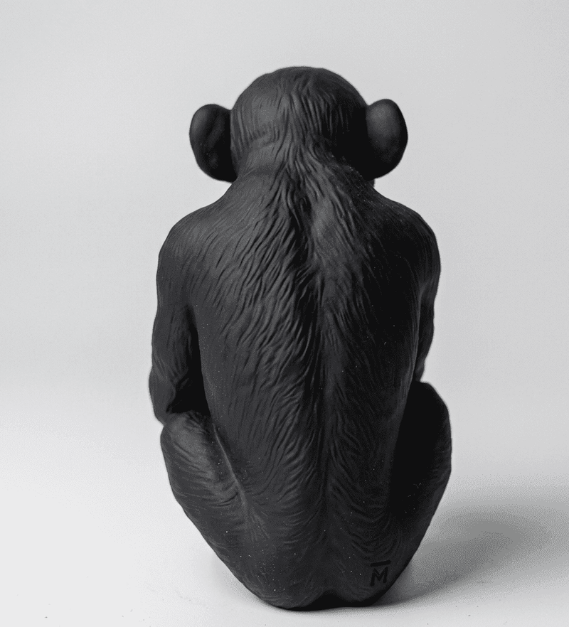 L'Opinione del Primate — Scimmia Maleducata - Taraflo
