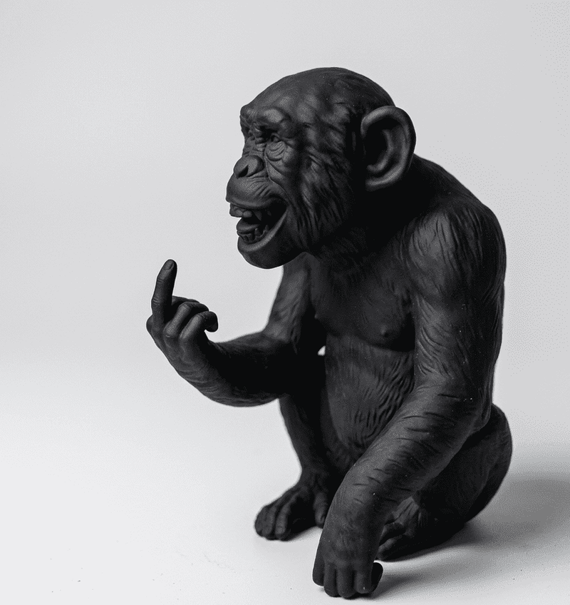 L'Opinione del Primate — Scimmia Maleducata - Taraflo