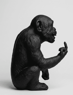 L'Opinione del Primate — Scimmia Maleducata - Taraflo