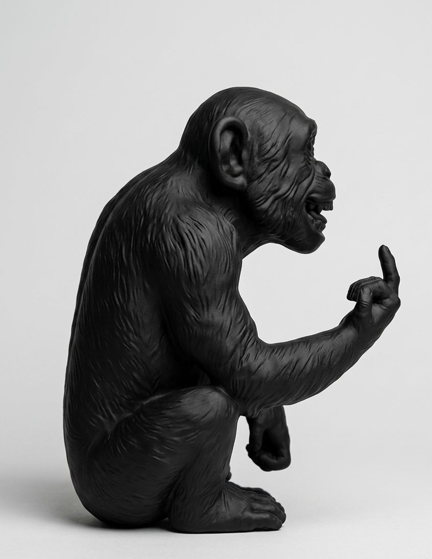 L'Opinione del Primate - Scimmi maleducata