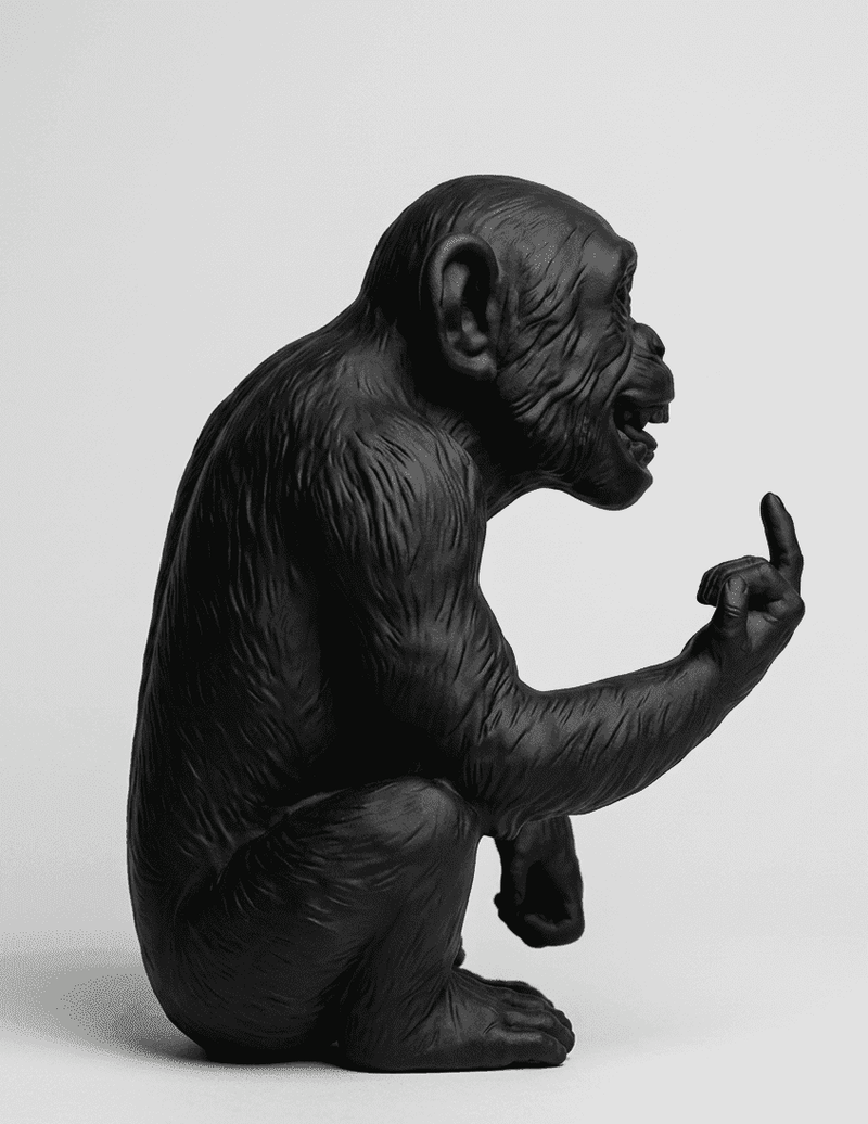 L'Opinione del Primate — Scimmia Maleducata - Taraflo