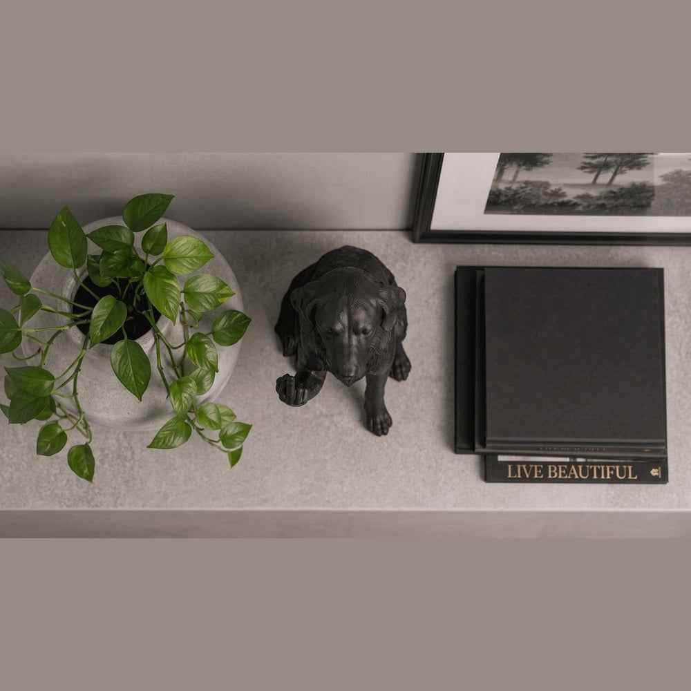 Golden Retriever — Statuetta Cane «Educato… ma non troppo»
