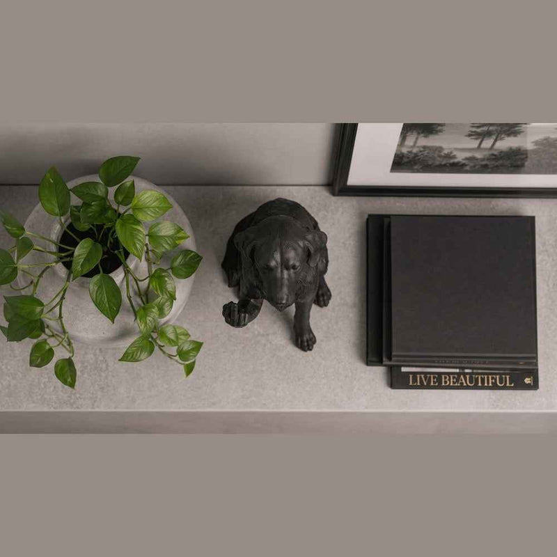 Golden Retriever — Statuetta Cane «Educato… ma non troppo»