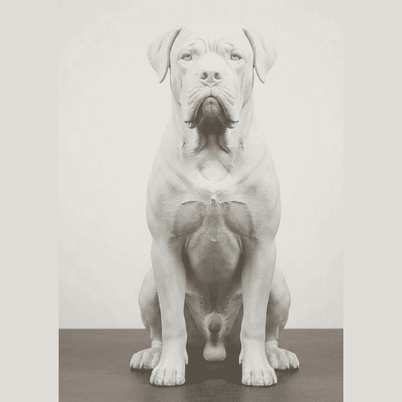 Guardiano Silente — Statuetta Cane da Guardia in Resina - Taraflo
