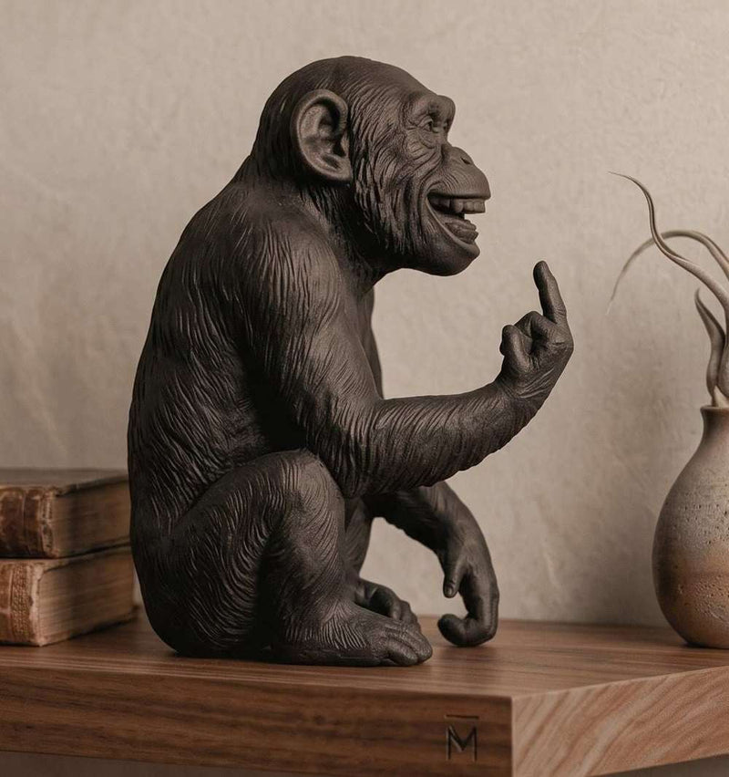 L'Opinione del Primate — Scimmia Maleducata