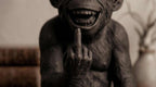 L'Opinione del Primate — Scimmia Maleducata