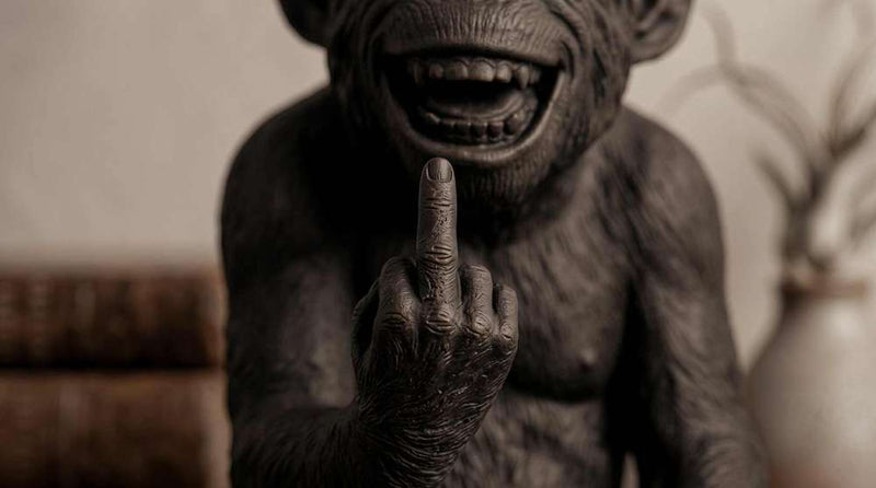L'Opinione del Primate — Scimmia Maleducata