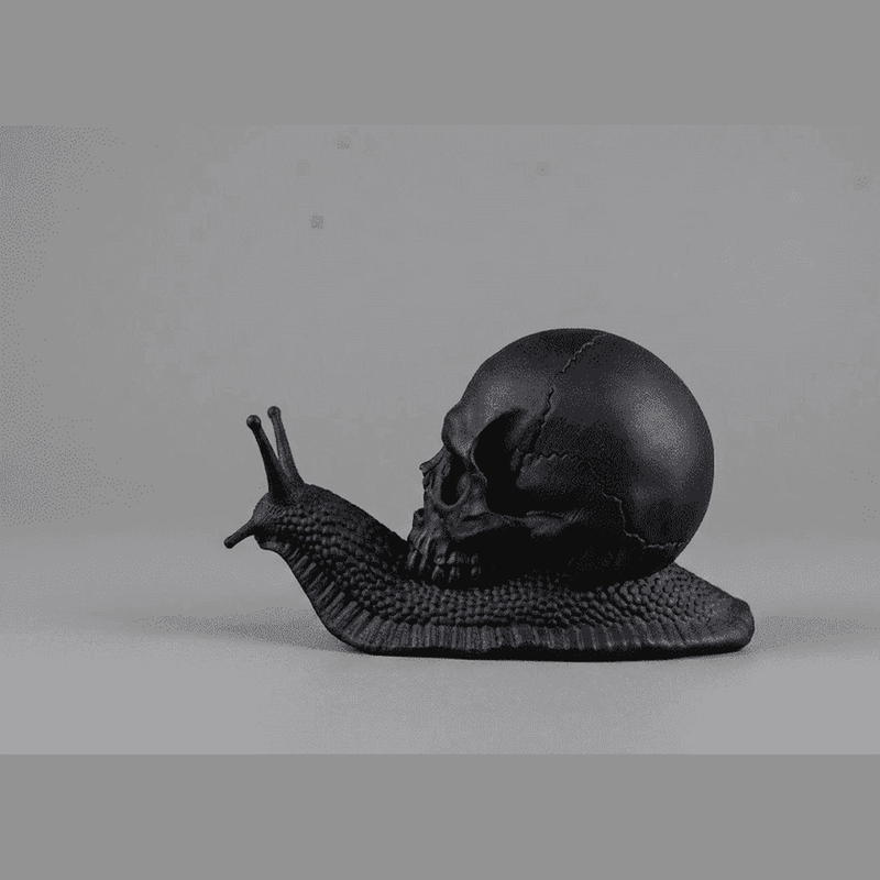 Memento Mori — Scultura Teschio su Lumaca in Resina Nera Opaca - Taraflo