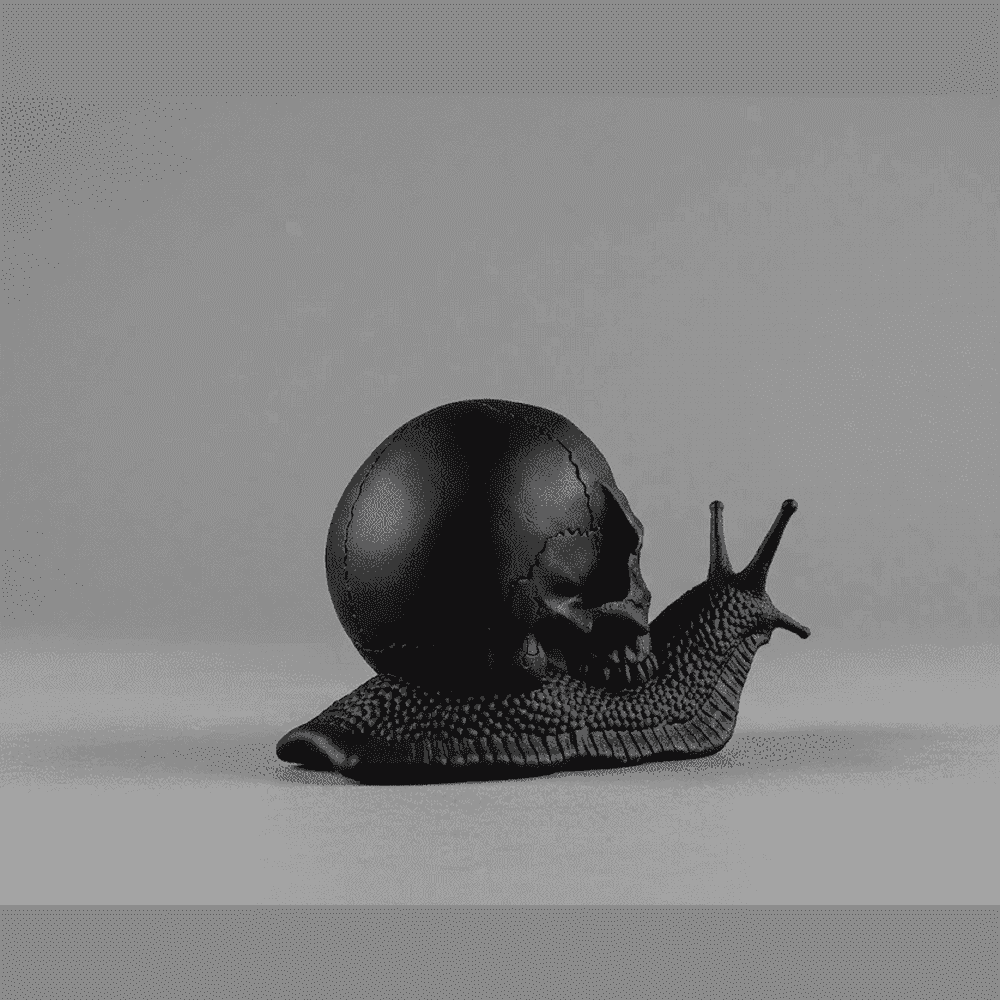 Memento Mori — Scultura Teschio su Lumaca in Resina Nera Opaca - Taraflo