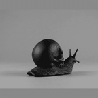 Memento Mori — Scultura Teschio su Lumaca in Resina Nera Opaca - Taraflo