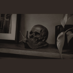 Memento Mori — Scultura Teschio su Lumaca in Resina Nera Opaca - Taraflo