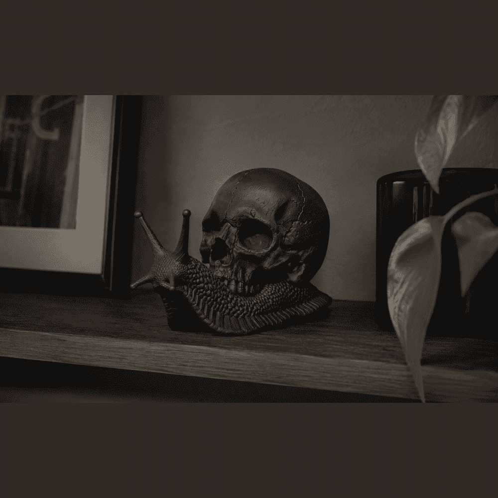 Memento Mori — Scultura Teschio su Lumaca in Resina Nera Opaca - Taraflo