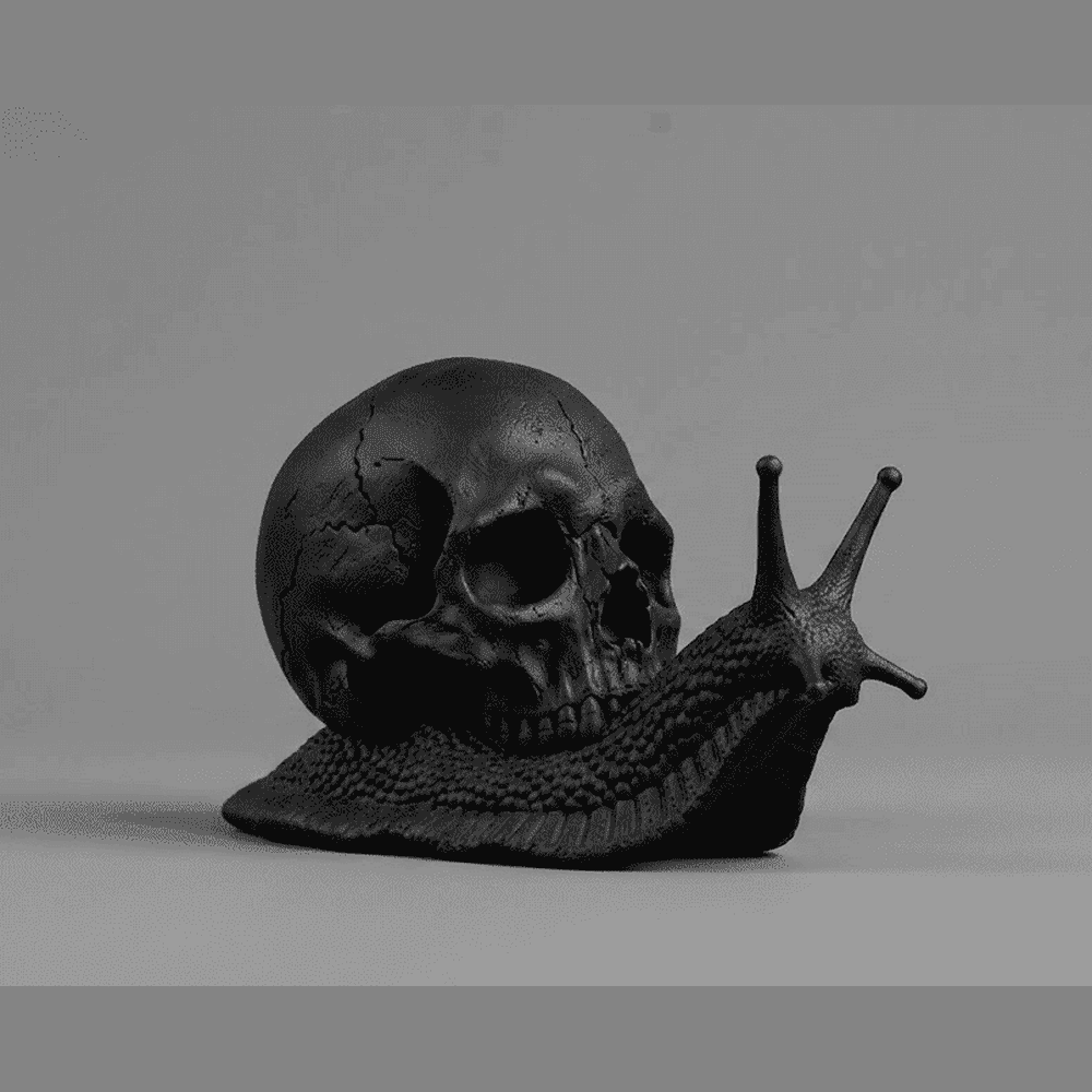 Memento Mori — Scultura Teschio su Lumaca in Resina Nera Opaca - Taraflo