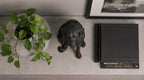 Golden Retriever — Statuetta Cane «Educato… ma non troppo»