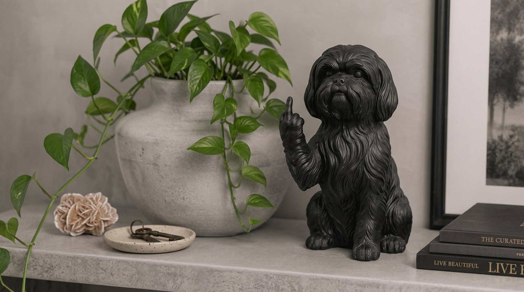 Shih Tzu — Statuetta Cane «Educato… ma non troppo»