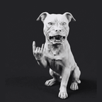 Pit Bull "Rock & Rebel" — Matte Black Resin Collectible Figurine. Muscles, scars, and no desire to follow the rules. "Rock & Rebel" portrays a streetwise, rebellious pit bull with urban details and a matte black finish Taraflo Taraflo Pit Bull "Rock & Rebel"