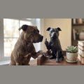 Pit Bull — Statuetta Cane «Educato… ma non troppo» - Taraflo
