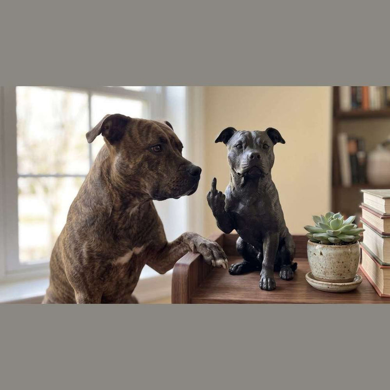 Pit Bull — Statuetta Cane «Educato… ma non troppo» - Taraflo