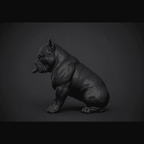 Pitbull Urban Dark — Statua da Collezione in Resina Nera Opaca - Taraflo