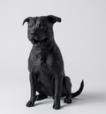 Cani - Collezione amici a 4 zampe - Guardiano Silente
