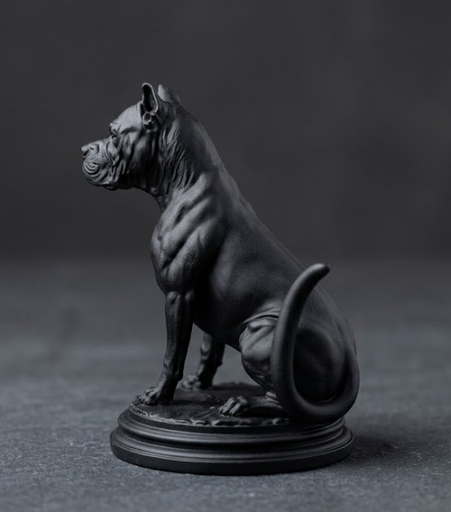 Cane Corso - Guardiano Silente – Icona di Potenza – vista laterale | Taraflo