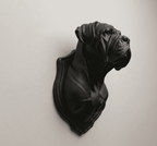 Testa di Cane Corso — Scultura da Parete in Resina Nera Opaca (25 cm) - Taraflo