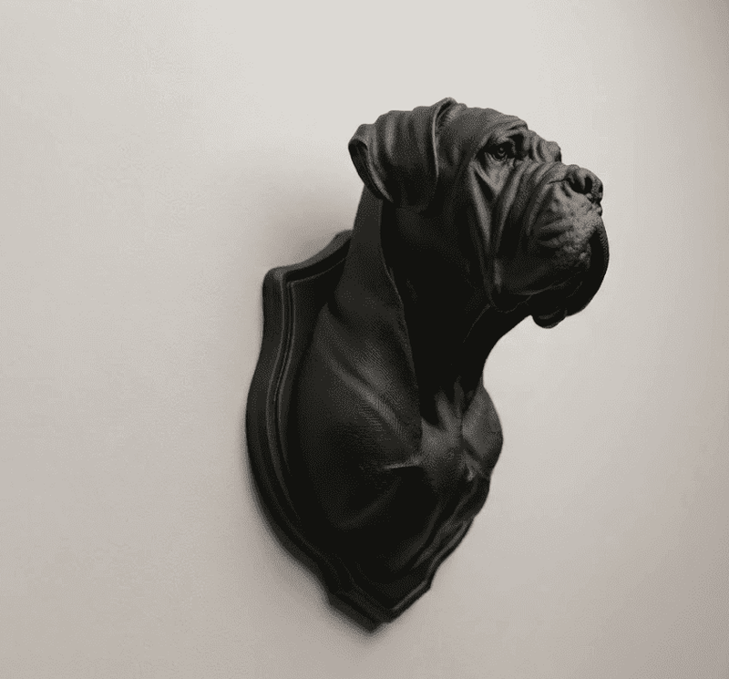 Testa di Cane Corso — Scultura da Parete in Resina Nera Opaca (25 cm) - Taraflo