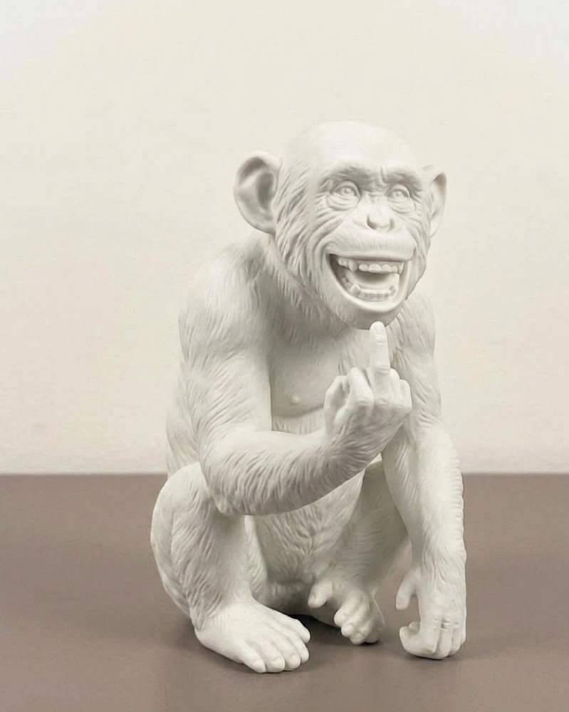 L'Opinione del Primate - Scimmi maleducata