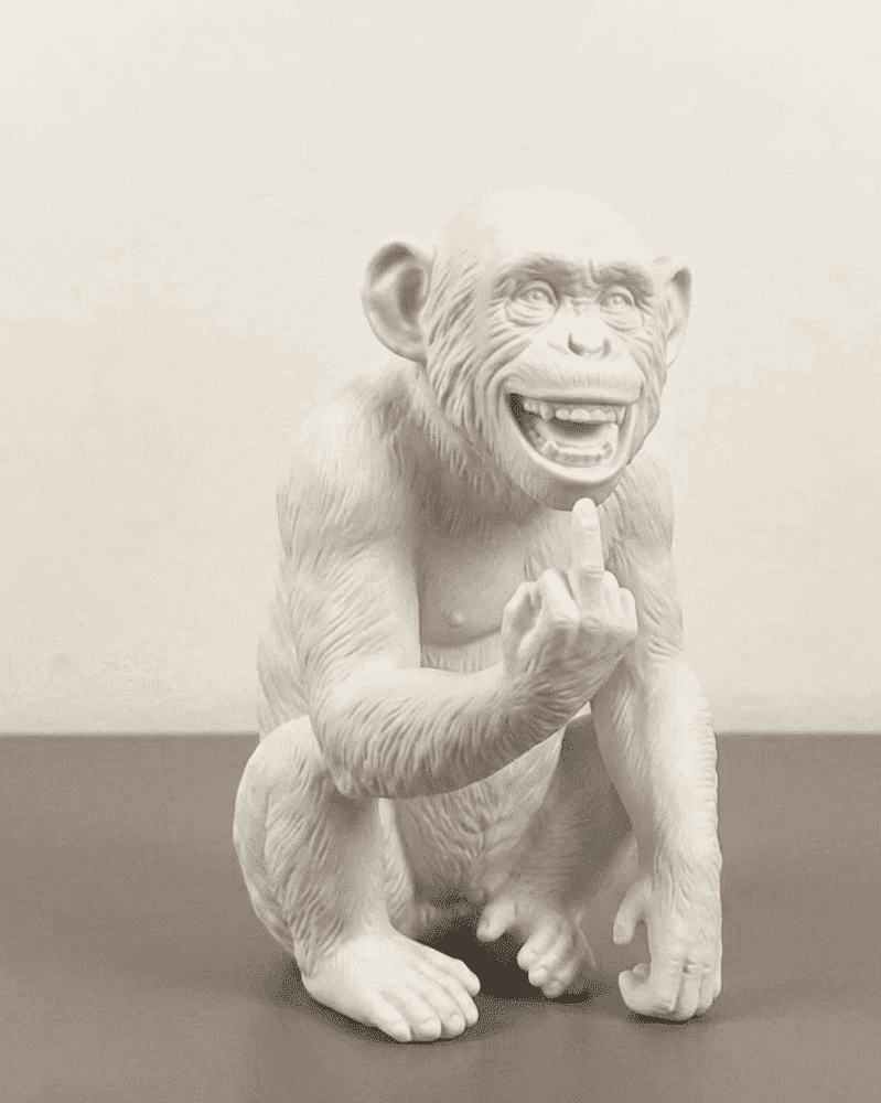 L'Opinione del Primate — Scimmia Maleducata - Taraflo