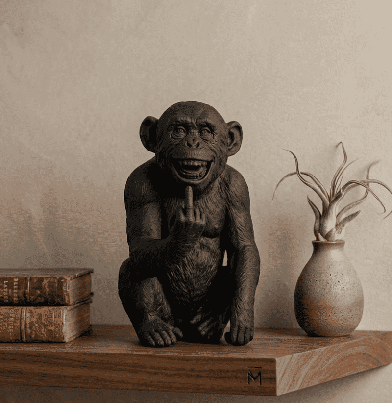 L'Opinione del Primate — Scimmia Maleducata - Taraflo