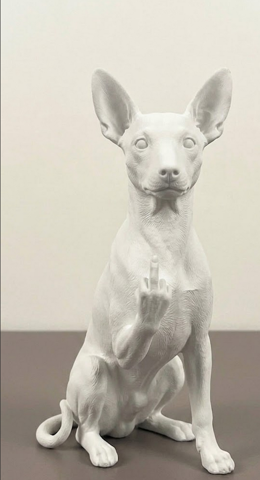 Cane educato... ma non troppo!