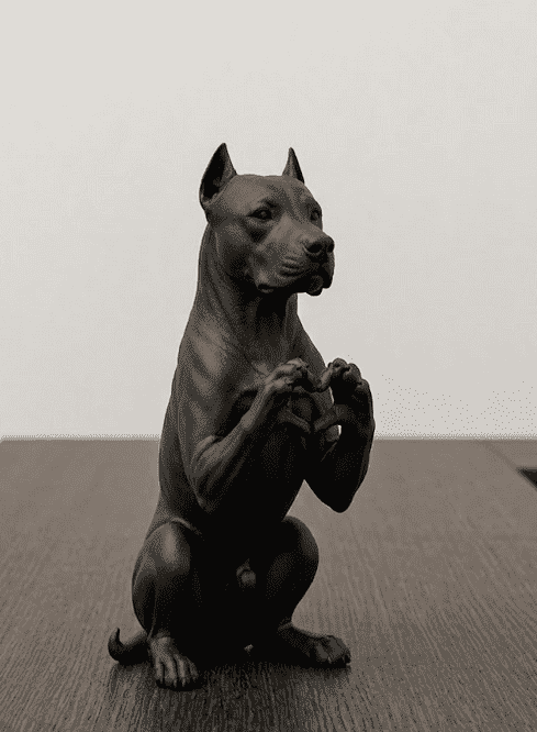 Cuori a Quattro Zampe — Statuetta Cane «Cuore con le Zampe» in Resina - Taraflo