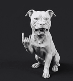 Pit Bull «Rock & Rebel» — Statuetta da Collezione in Resina Nera Opaca - Taraflo
