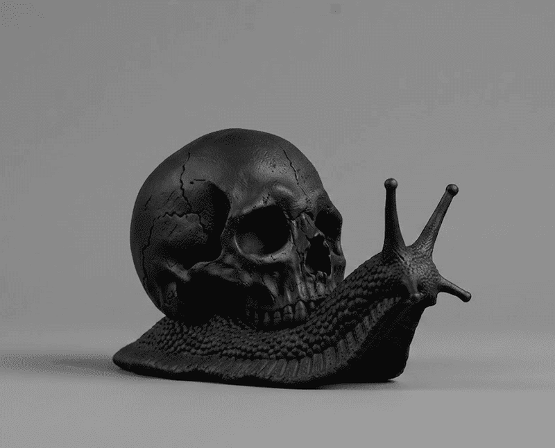 Memento Mori — Scultura Teschio su Lumaca in Resina Nera Opaca - Taraflo