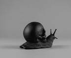 Memento Mori — Scultura Teschio su Lumaca in Resina Nera Opaca - Taraflo