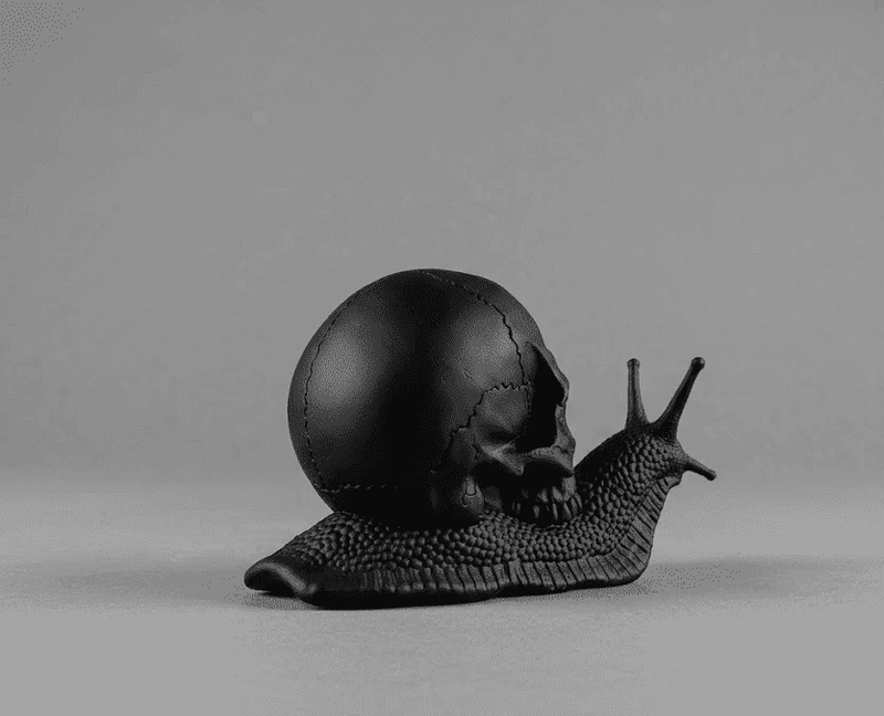 Memento Mori — Scultura Teschio su Lumaca in Resina Nera Opaca - Taraflo