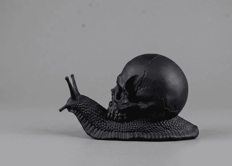 Memento Mori — Scultura Teschio su Lumaca in Resina Nera Opaca - Taraflo