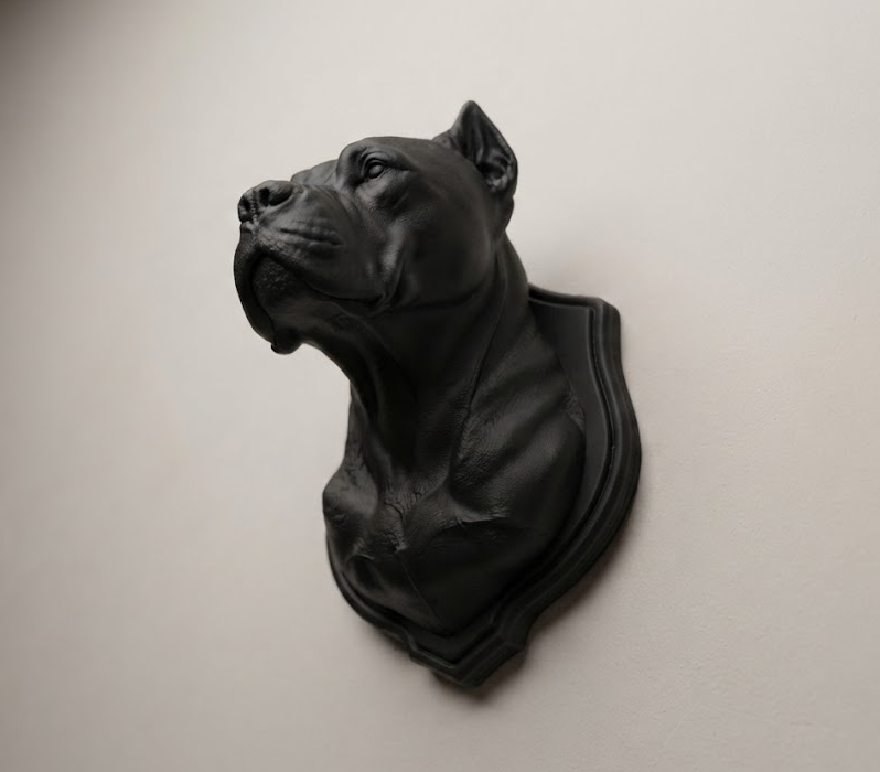 Scultura da Parete Cane Corso / Pitbull - Busto in Resina Nera Opaca - Trofeo Decorativo Moderno Taraflo